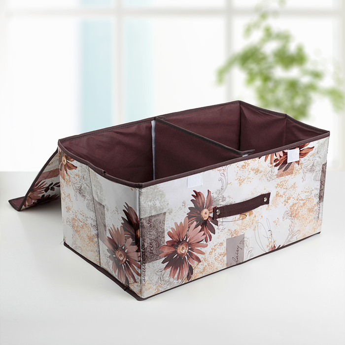 Короб для хранения с двойной крышкой 50х30х25 см "Астра"