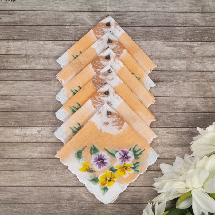 Набор детских носовых платков 45453КС-467 Etteggy (6шт) 25х25см печать полотн. 66г/м, хл100% 32897