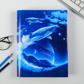 

Набор обложек для книг «Космос», 3 шт, 43 × 24 см