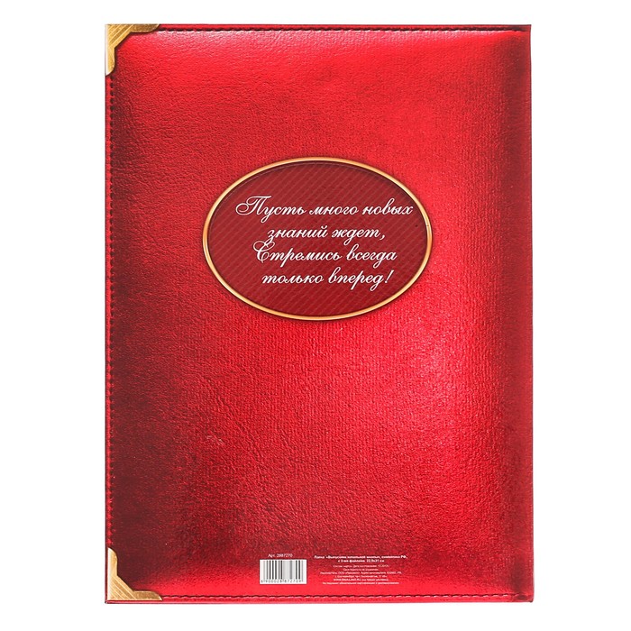 Папка «Выпускник начальной школы» с 2-мя файлами