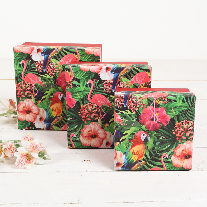 Набор коробок 3в1 "Тропики", 16,5 х 16,5 х 9 - 12,5 х 12,5 х 6,5 см