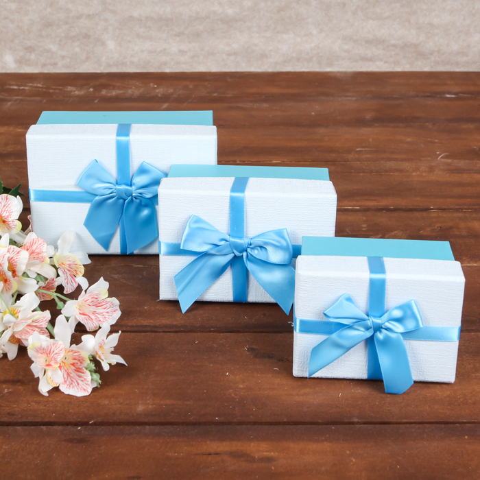 Набор коробок 3в1, 14 х 9,5 х 8 - 10 х 7,5 х 6 см