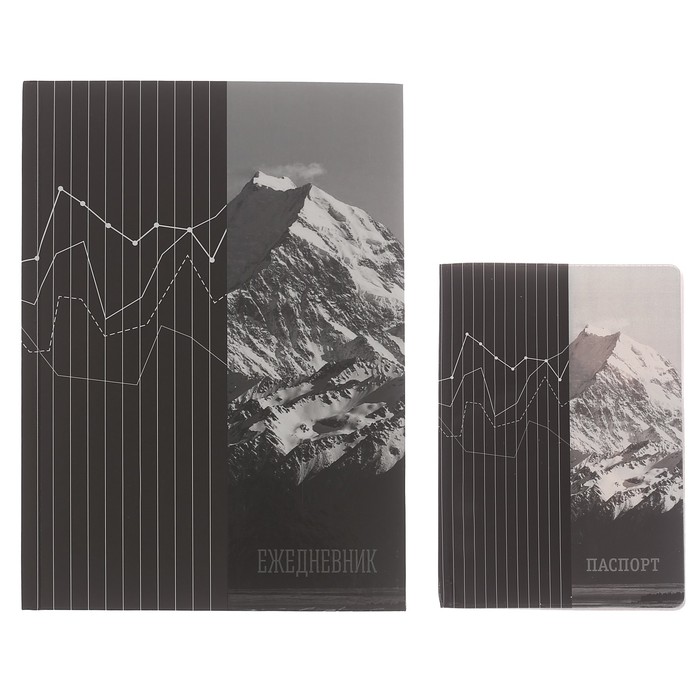 Набор "Достигай высот": ежедневник и обложка для паспорта