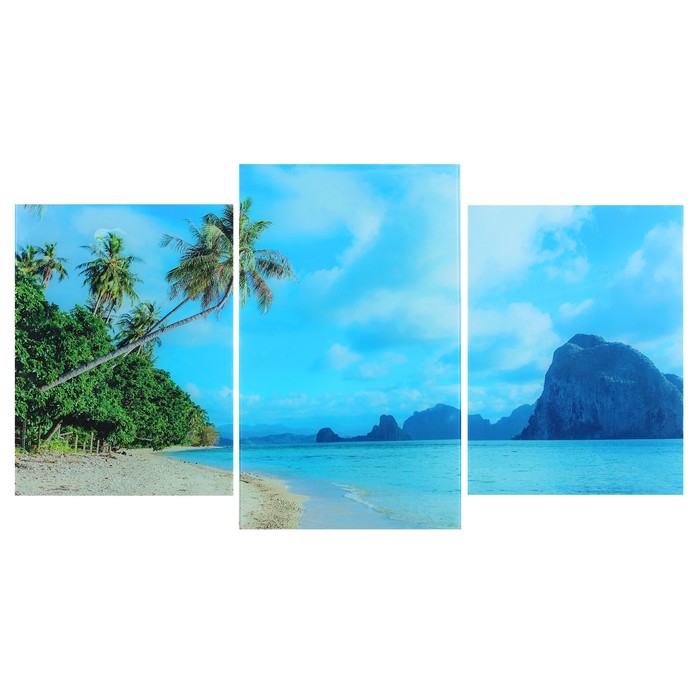 Модульная картина на стекле "Пальмы на берегу" 2-30х40, 30х50см (90х50см)
