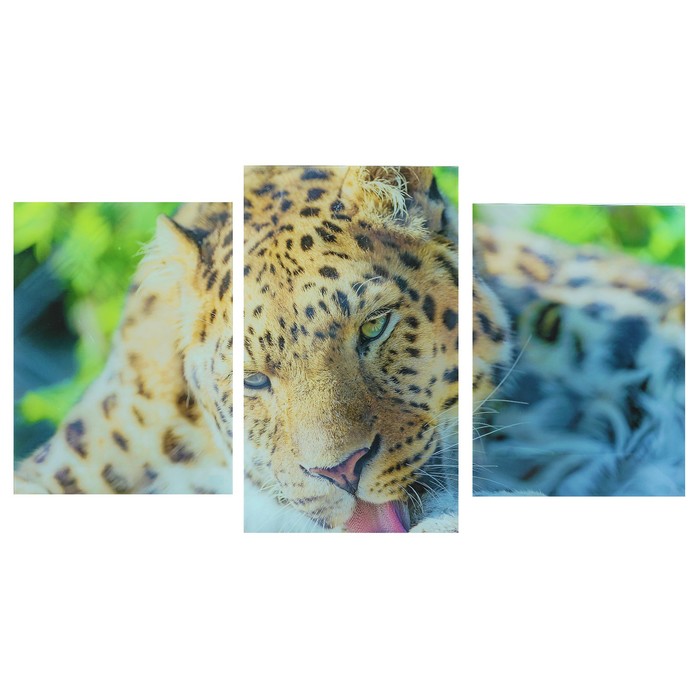 Модульная картина на стекле "Леопард" 2-30х40, 30х50см (90х50см)