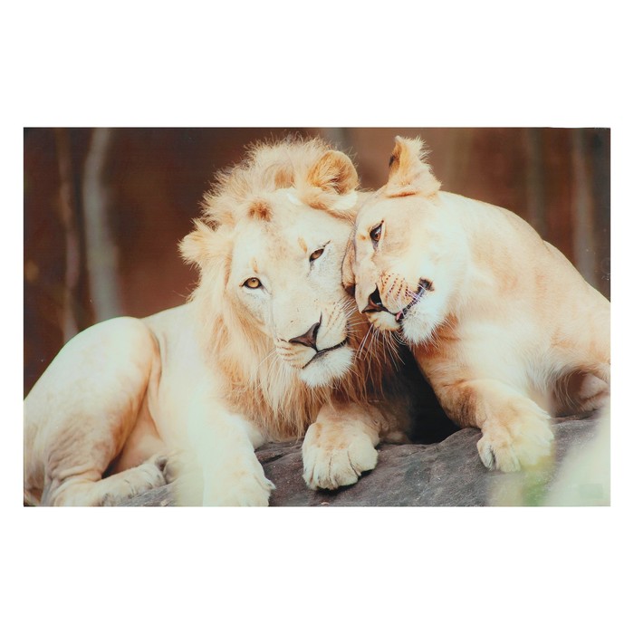 Картина "Кошачьи нежности" 55*35 см