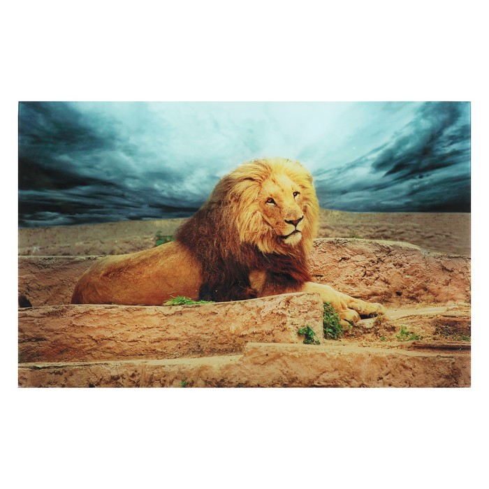 Картина "Царь зверей" 55*35 см