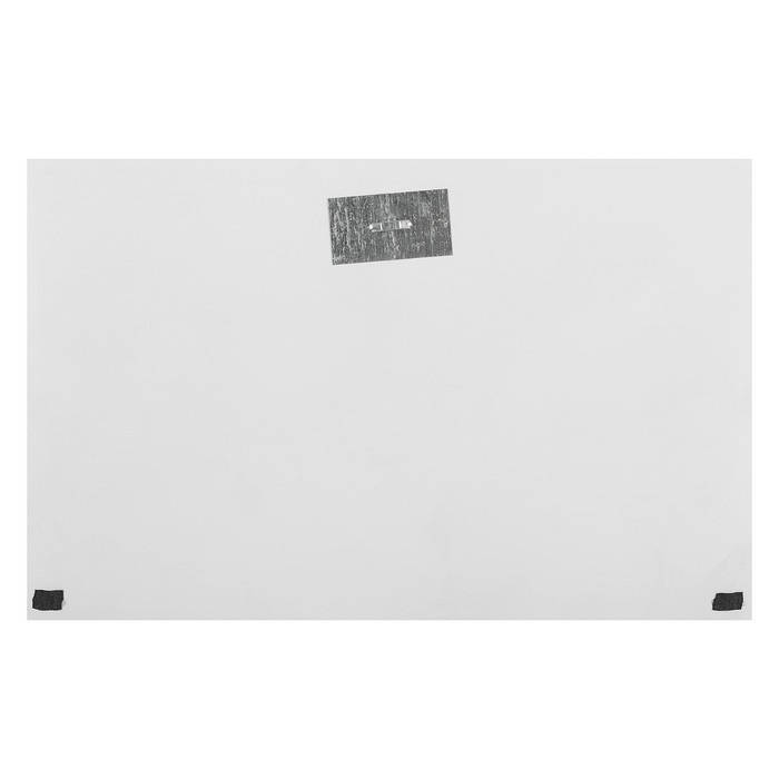 Картина "Царь зверей" 55*35 см