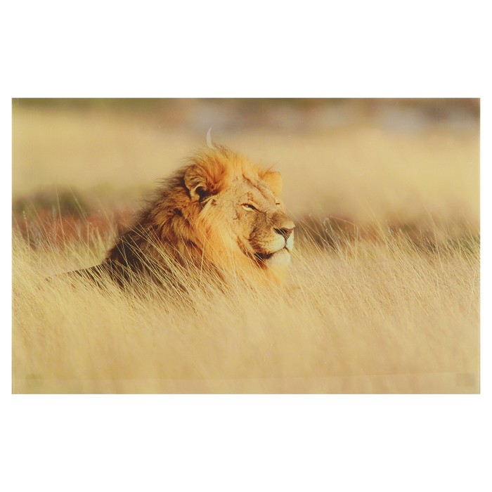 Картина "Лев" 55*35 см