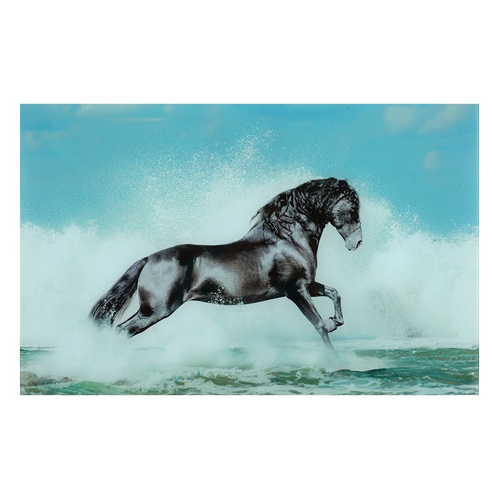 Картина "Черный скакун" 55*35 см