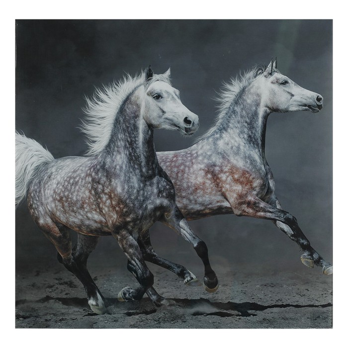 Картина "Две лошади" 40*40 см