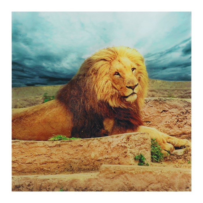 Картина "Лев" 40*40 см