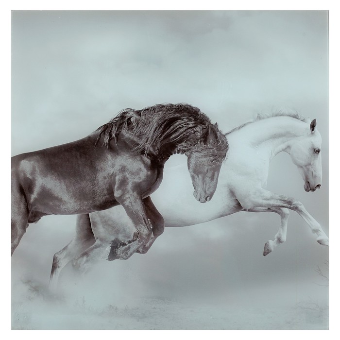 Картина "Чёрный и белый" 40*40 см