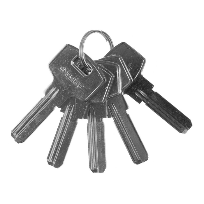 Заготовка ключа "ЗУБР" ЭКСПЕРТ, для цилиндровых механизмов, компьютерный тип, 5 шт.