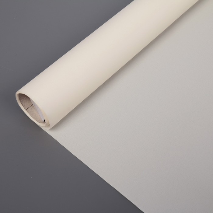 Штора рулонная 60х160 см "Эконом", цвет белый