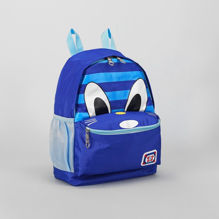 Рюкзак школьный "Котик", 1 отдел, наружный карман, 2 боковые сетки, цвет синий/голубой