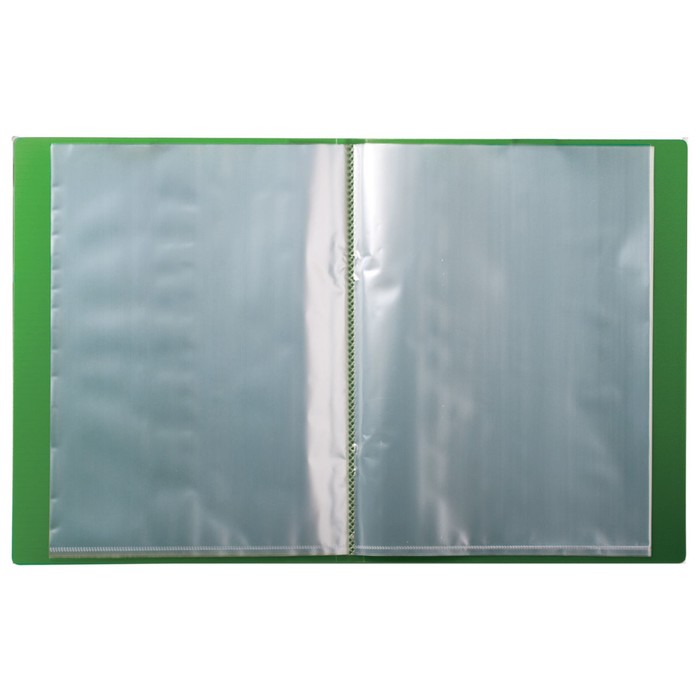 Папка 20 прозр вкладышей А4 0,7мм BRAUBERG Contract зеленая 221774