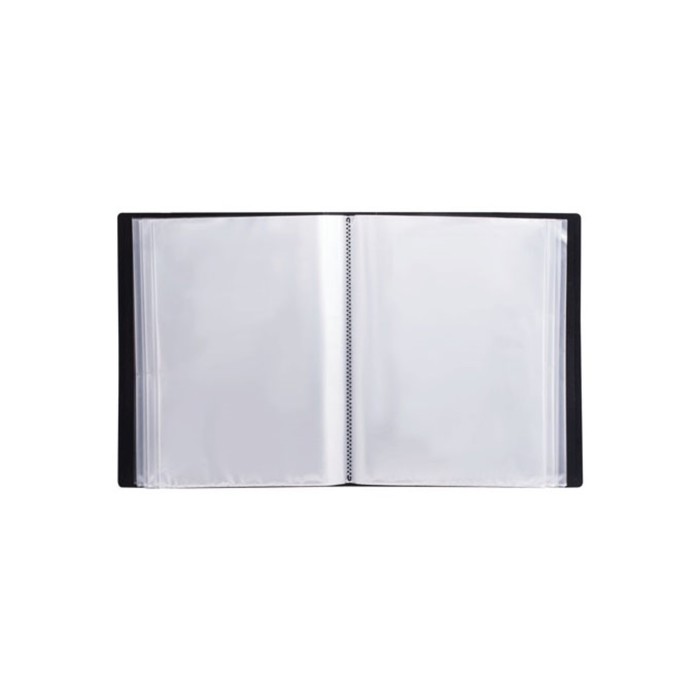 Папка 100 прозр вкладышей А4 0,8мм BRAUBERG "Business" черная, в пласт.коробе 224141