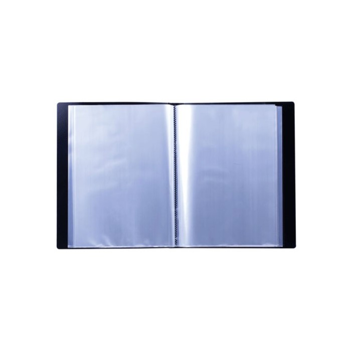 Папка 100 прозр вкладышей А4 0,9мм BRAUBERG Стандарт черная 221610