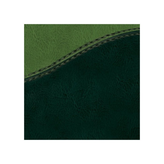 Ежедневник недатированный А5, 160 листов BRAUBERG Bond, под комбинированную кожу, зелёный