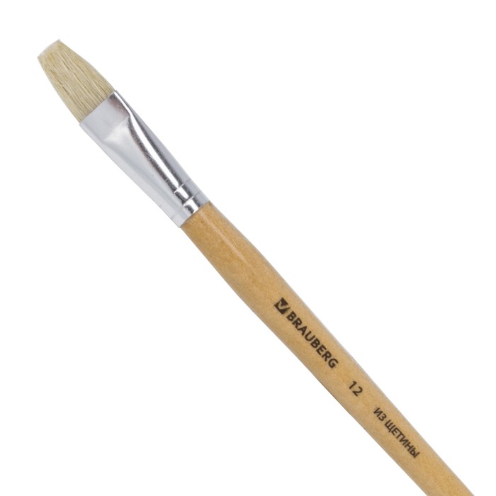 Кисть щетина плоская №12 BRAUBERG