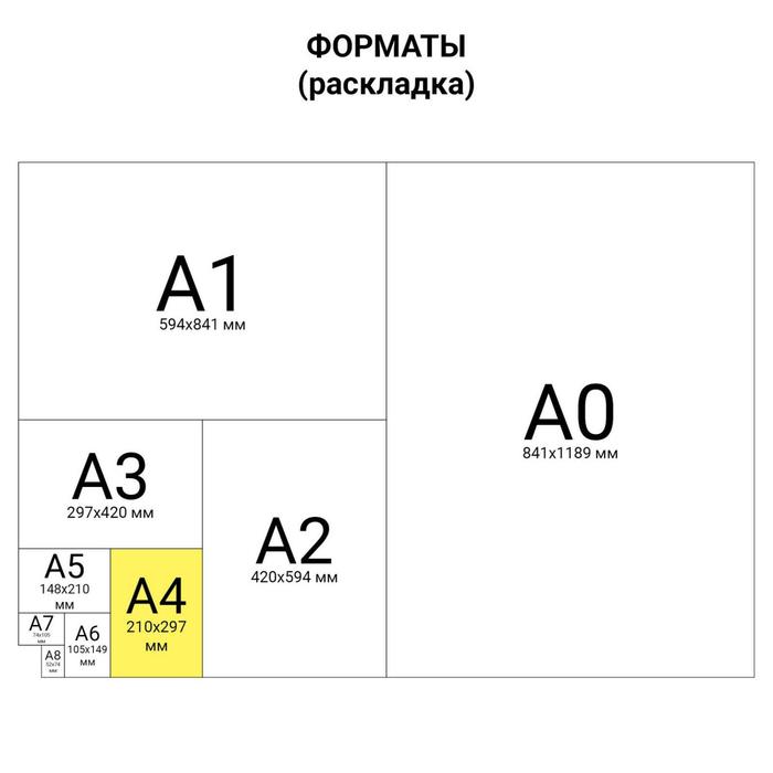 Канцелярская книга А4, 80 листов, BRAUBERG, клетка