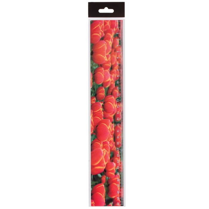 Линейка 30 см, 3D BRAUBERG «Красные тюльпаны», европодвес