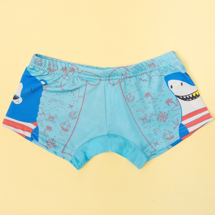 Трусы купальные детские  KAFTAN "Пираты" рост 98-104 (30) см, 3-4 года, 100% ПЭ