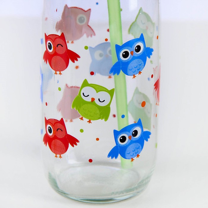 Бутылка 500 мл "Совунья"