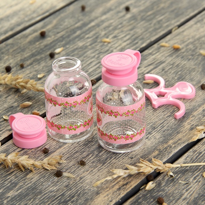 Набор для специй "Джоли", 2 шт, цвет МИКС