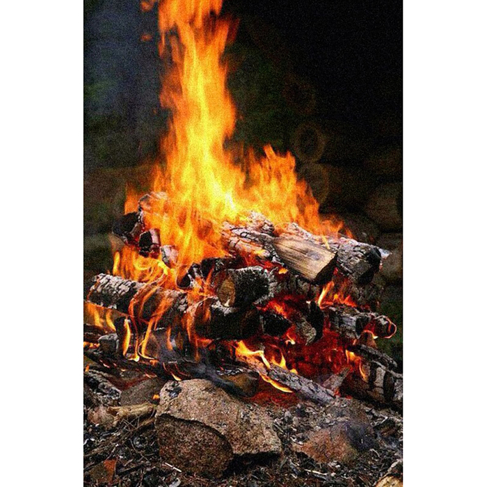 Картина стразами "Огонь"