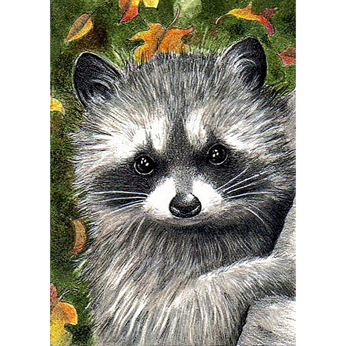 Картина стразами "Енот-полоскун"