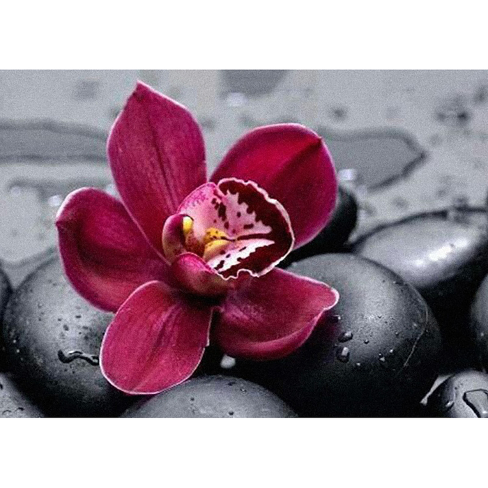 Картина стразами "Королевская орхидея"