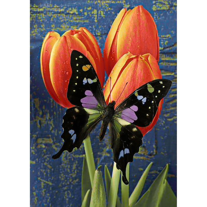 Картина стразами "Бабочка на тюльпанах"