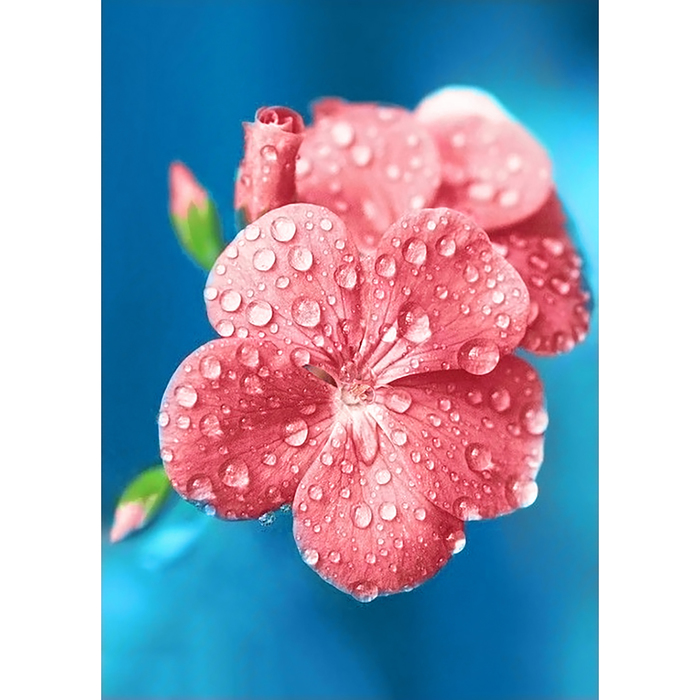 Картина стразами "Роса"