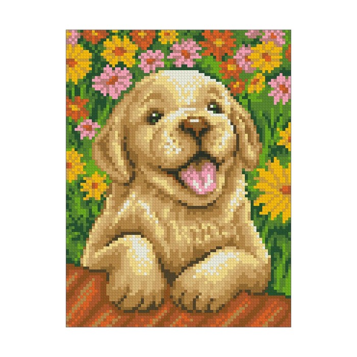 Набор алмазной вышивки "В саду"