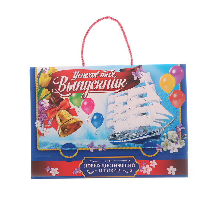 Папка-портфель для подарков &quot;Успехов тебе, выпускник&quot;