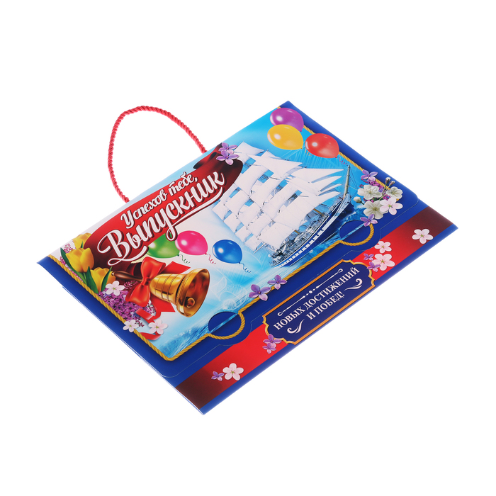 Папка-портфель для подарков "Успехов тебе, выпускник"