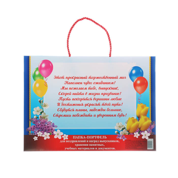 Папка-портфель для подарков "Успехов тебе, выпускник"