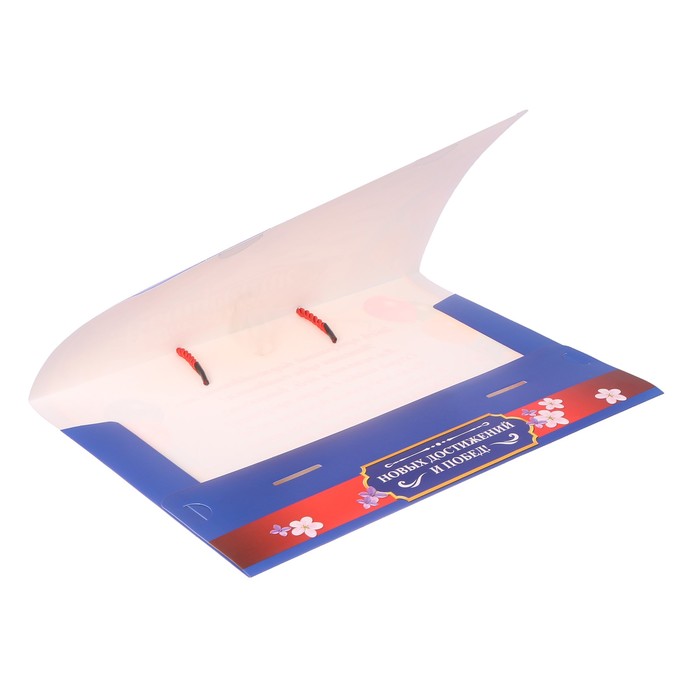 Папка-портфель для подарков "Успехов тебе, выпускник"