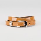 коричневый коричневый