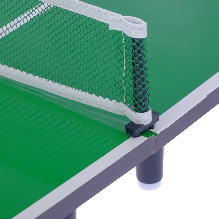 Настольный теннис "Чемпион пинг-понга"