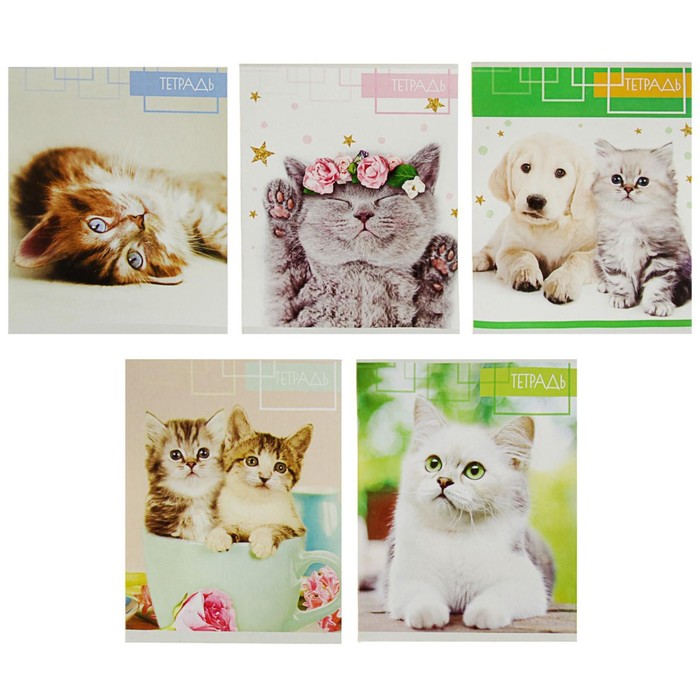 Тетрадь 48 листов клетка Calligrata "Котята", белизна 95%, картонная обложка, микс