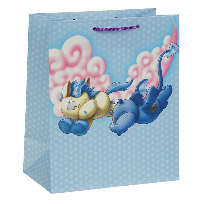 Пакет подарочный "В свободном полете", 24 х 20,3 х 11,5 см