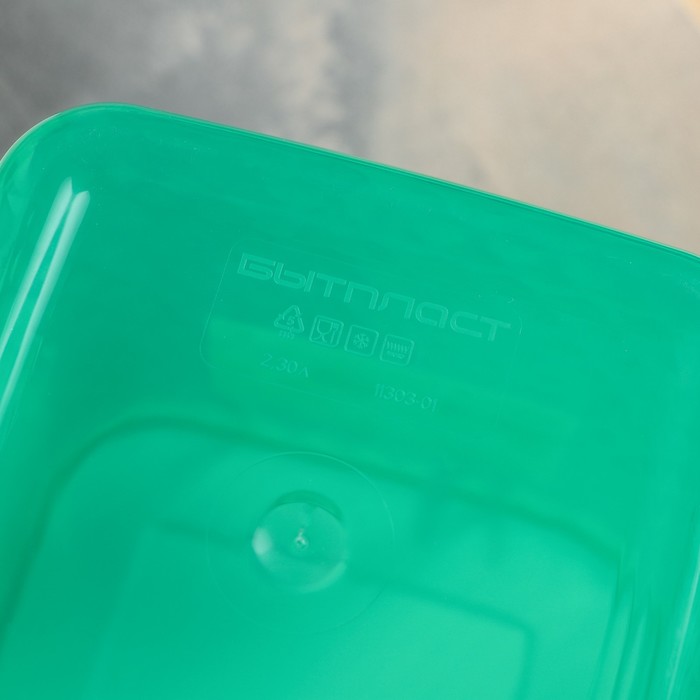 Контейнер для замораживания и хранения продуктов 2,3 л "Кристалл" с декором, цвет голубой