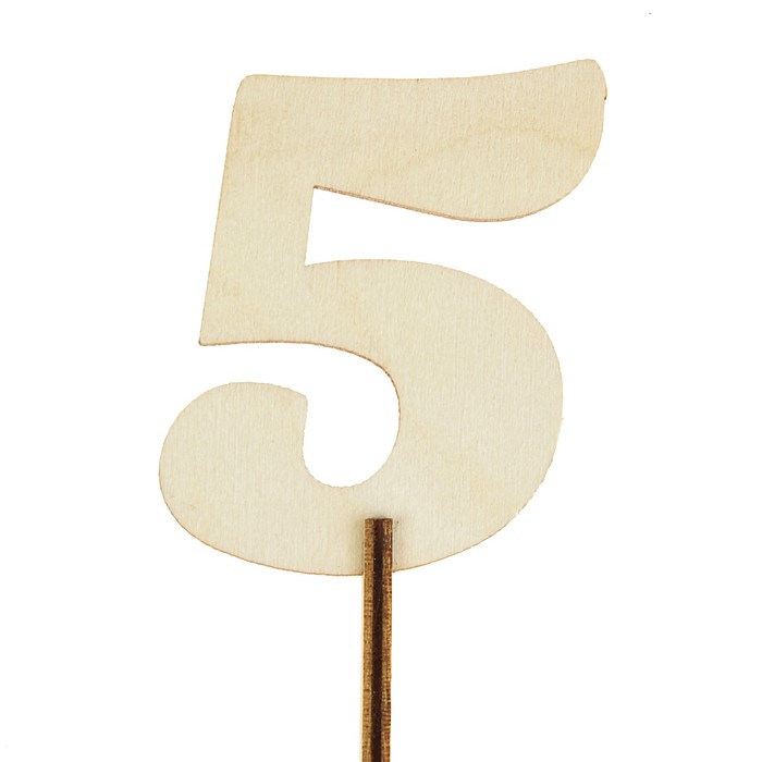 Топпер цифра "5", с держателем