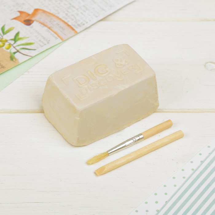 Набор юного археолога "В поисках древних рыб"