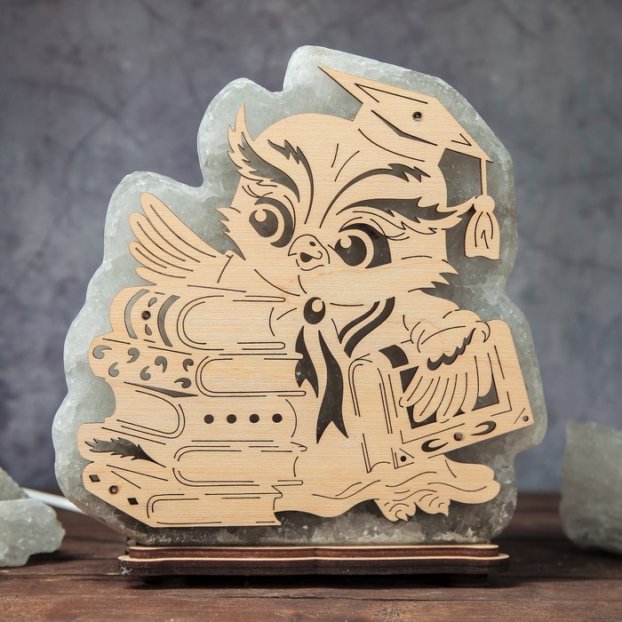 Соляной светильник "Сова на книгах", фигурный, деревянный декор, цельный кристалл