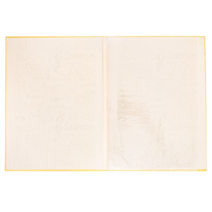 Папка с 2-мя файлами «Документы школьника» , 22х31 см