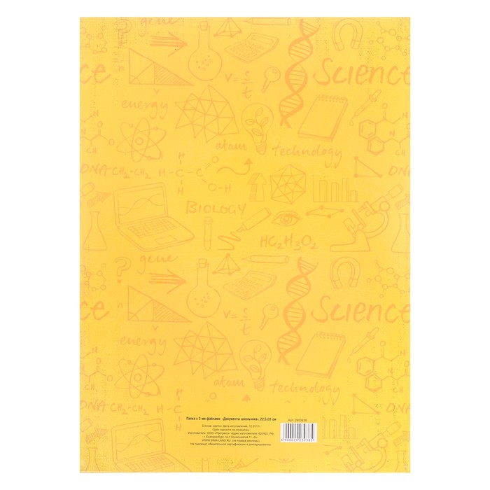 Папка с 2-мя файлами «Документы школьника» , 22х31 см